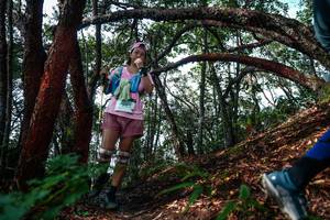 BIB: 
                            <button type="button" onclick="openModal(26346079)" class="btn btn-primary btn-sm float-right btn-popup" data-toggle="modal" data-target=".modal-high-quality">
                        <i class="fas fa-shopping-cart"></i> Add to Cart
                    </button>
                                            <button type="button" onclick="isThisMe(26346079, true)" class="btn btn-success btn-sm float-right btn-popup btn-isme hidden" data-toggle="tooltip" data-placement="bottom" title="นี่คือรูปของคุณใช่ไหม คลิกที่นี่เพื่อเอาเข้าอัลบั้ม">
                        <i class="fas fa-plus"></i> Add to album
                    </button>
                    <button type="button" onclick="isThisMe(26346079, false)" class="btn btn-warning btn-sm float-right btn-popup btn-isnotme hidden">
                        <i class="fas fa-ban"></i> Remove from album
                    </button>